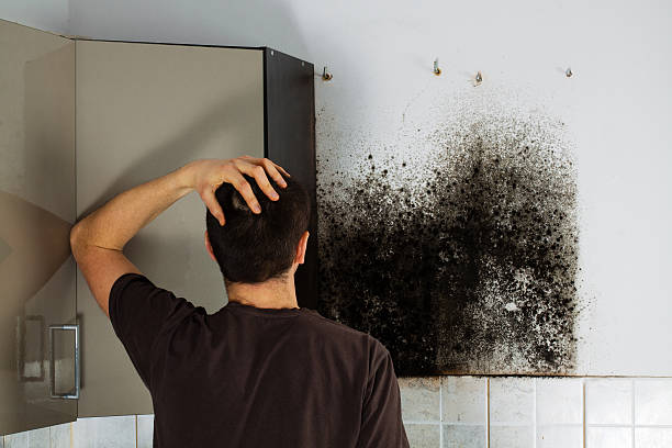 Best Office Mold Removal Services  in Carolina Forest, SC